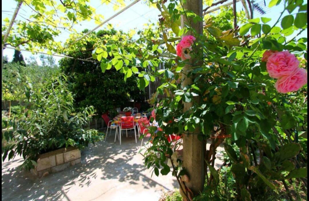 Ivan And Marica Guest House Lopud Exterior photo