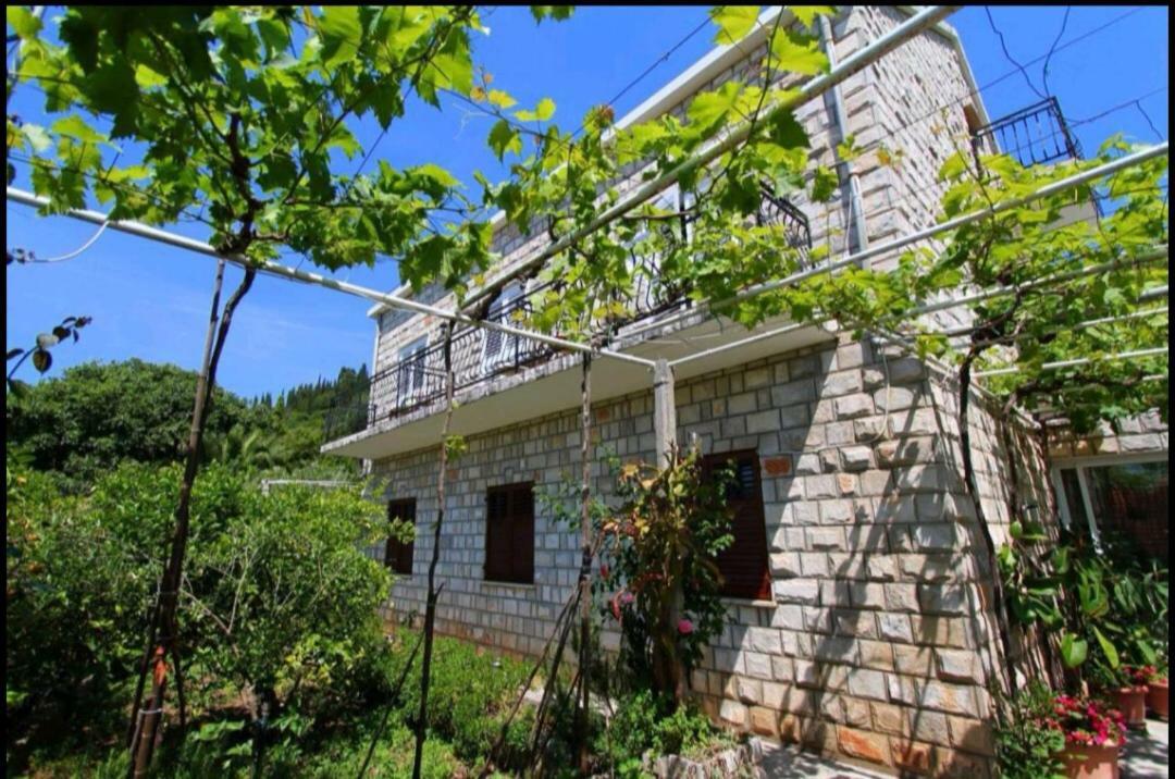 Ivan And Marica Guest House Lopud Exterior photo