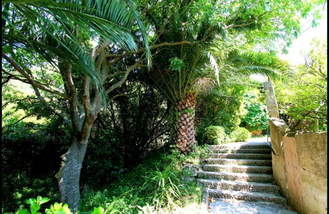 Ivan And Marica Guest House Lopud Exterior photo